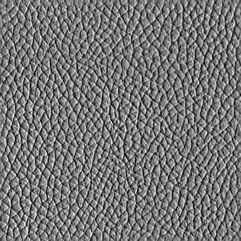 Leather_121