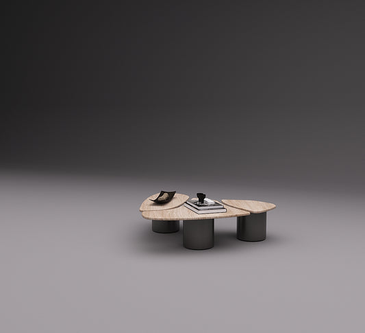 Table_3D N&A_060.jpg